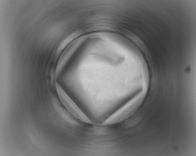 X0000113941242200910161907