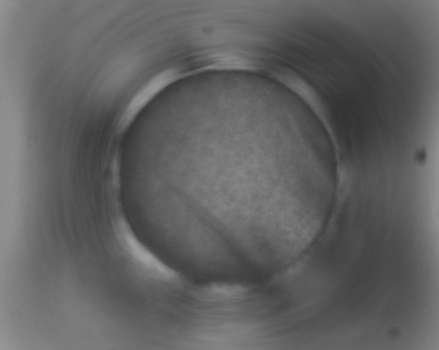 X0000113941243200910161907