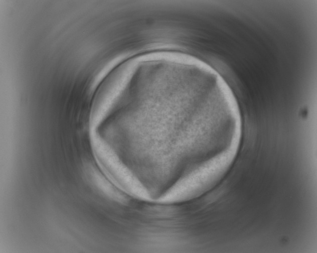 X0000113941244200910161907