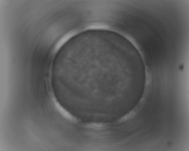 X0000113941245200910161907