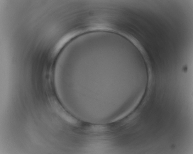 X0000113941246200910161907