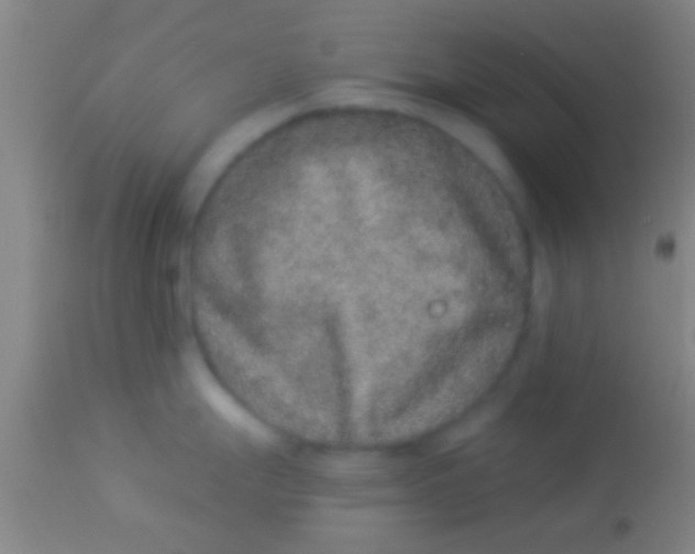 X0000113941247200910161907