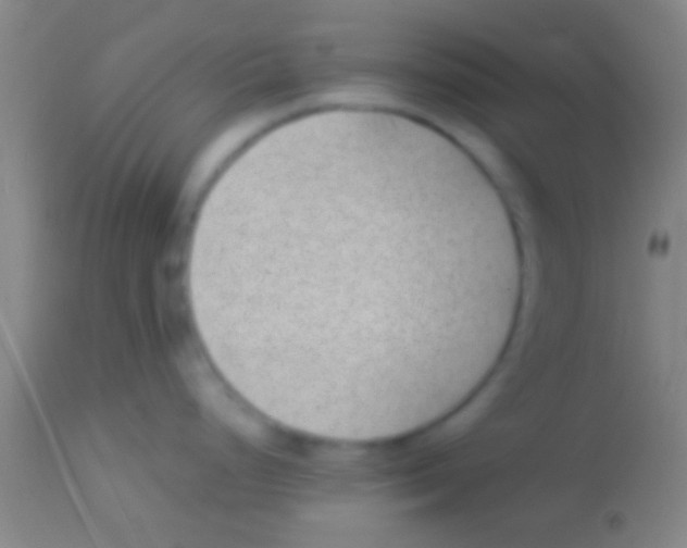 X0000113941248200910161908