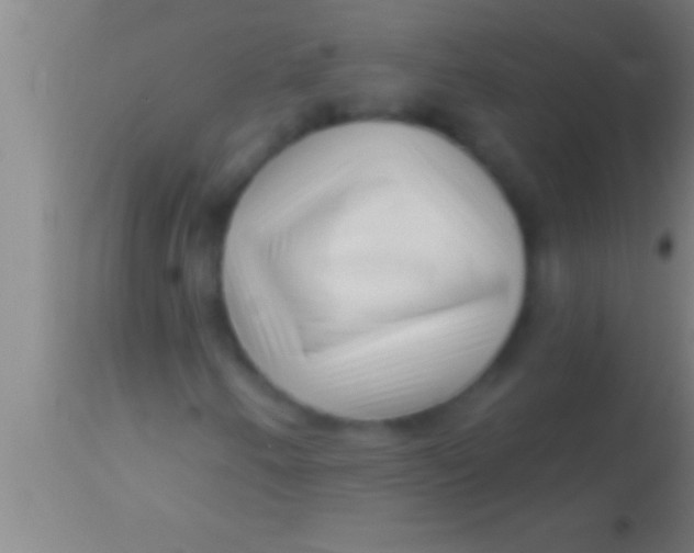X0000113941250200910161907