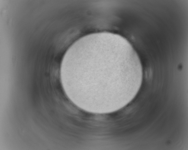 X0000113941251200910161907