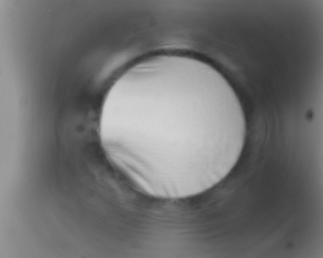 X0000113941255200910161907