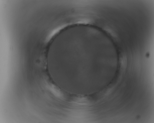 X0000113941256200910161907