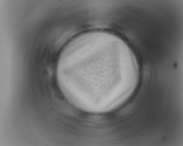 X0000113941257200910161907