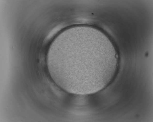 X0000113941259200910161907