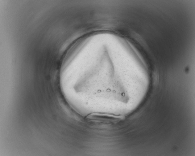 X0000113941260200910161907