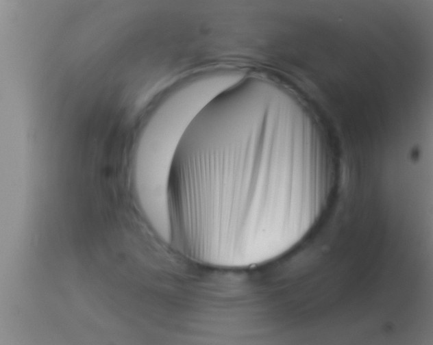 X0000113941261200910161907