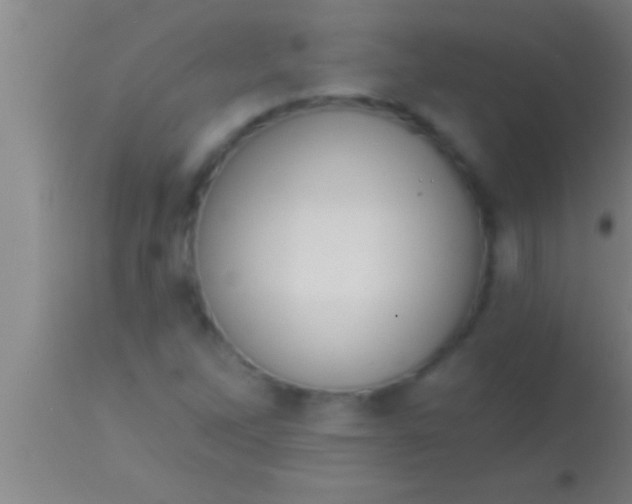 X0000113941262200910161907