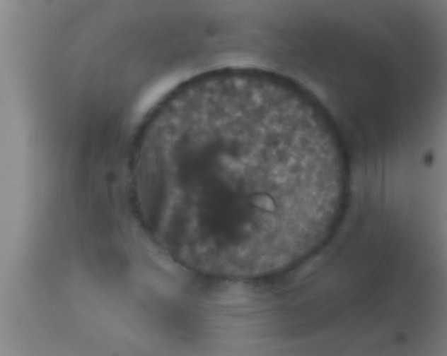 X0000113941263200910161907