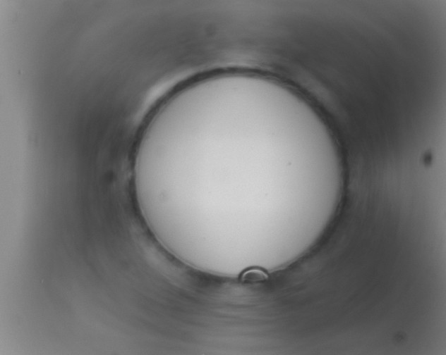 X0000113941264200910161907