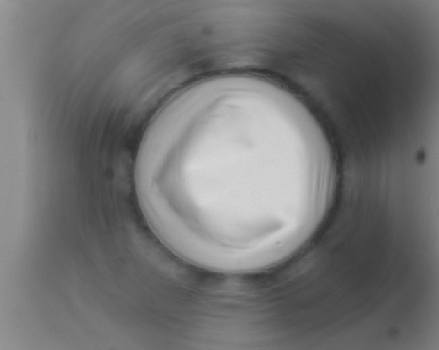 X0000113941265200910161907