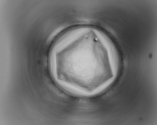 X0000113941267200910161907