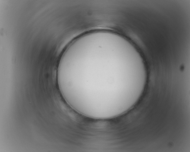 X0000113941268200910161907