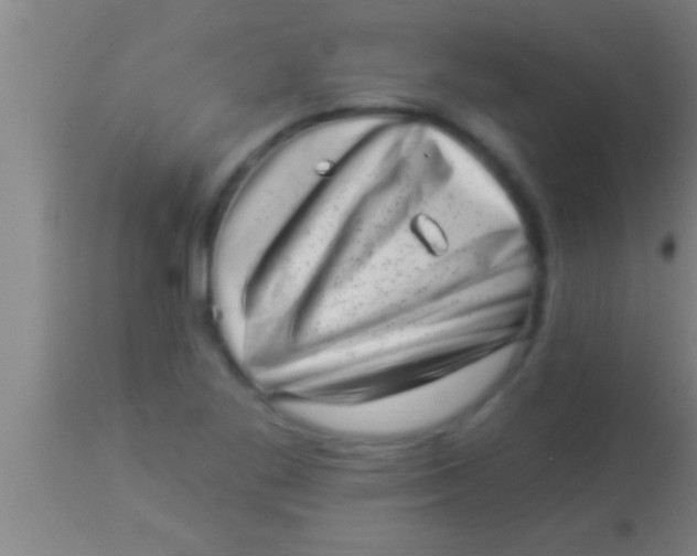 X0000113941269200910161906