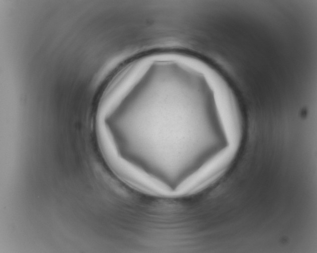 X0000113941270200910161906