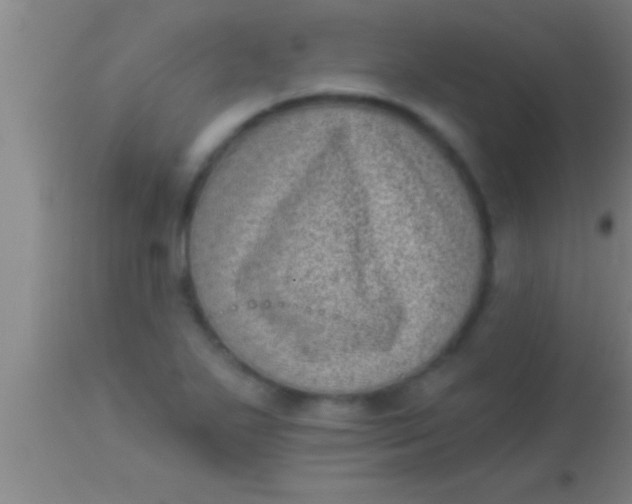 X0000113941271200910161906