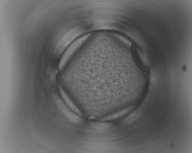 X0000113941273200910161906