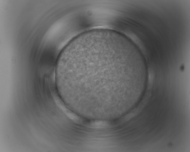 X0000113941274200910161906