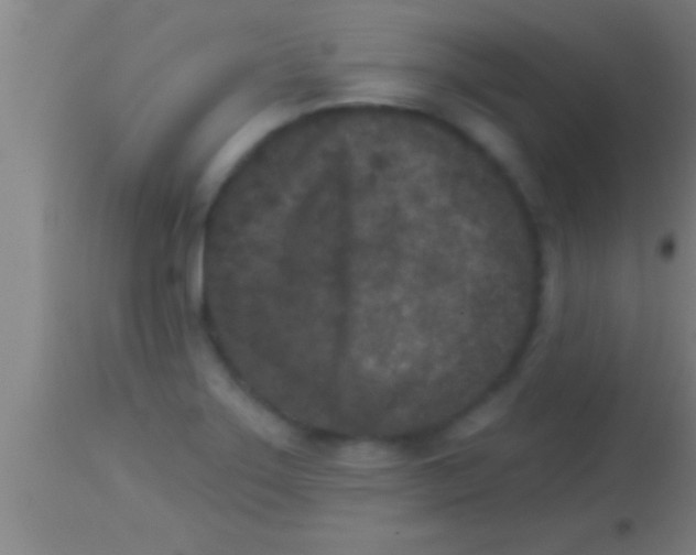 X0000113941275200910161906