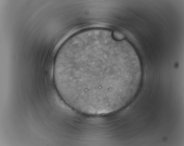 X0000113941276200910161906