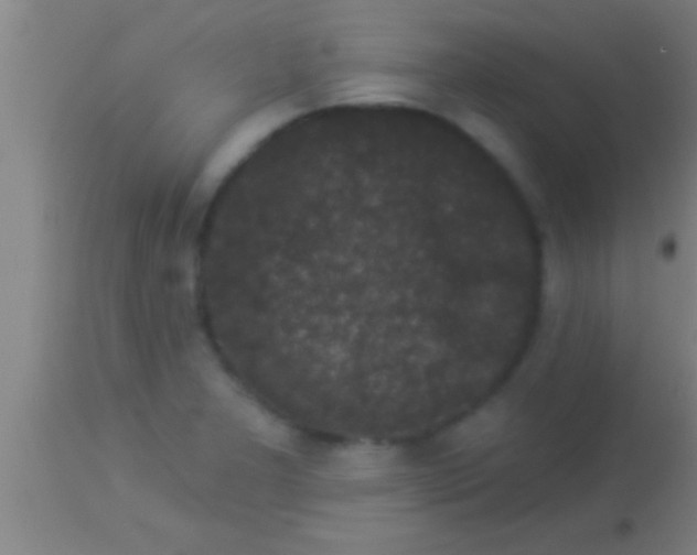 X0000113941277200910161906