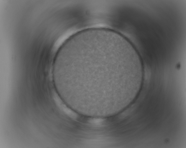 X0000113941278200910161906