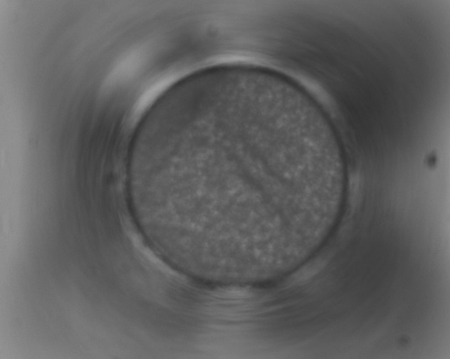 X0000113941279200910161906