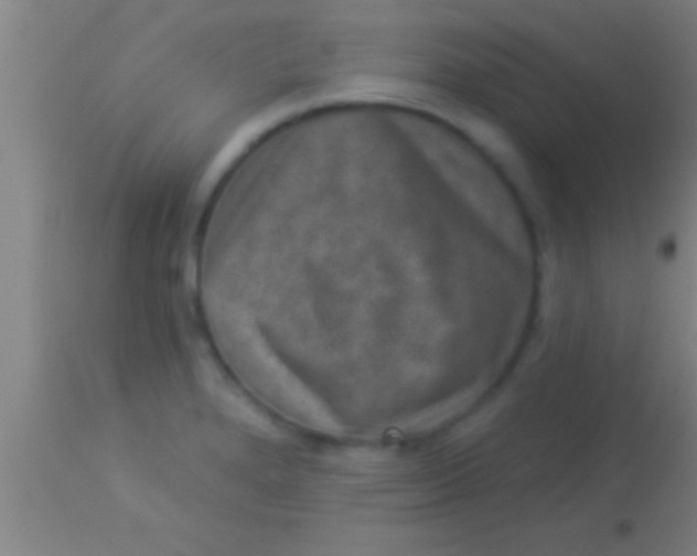 X0000113941280200910161906