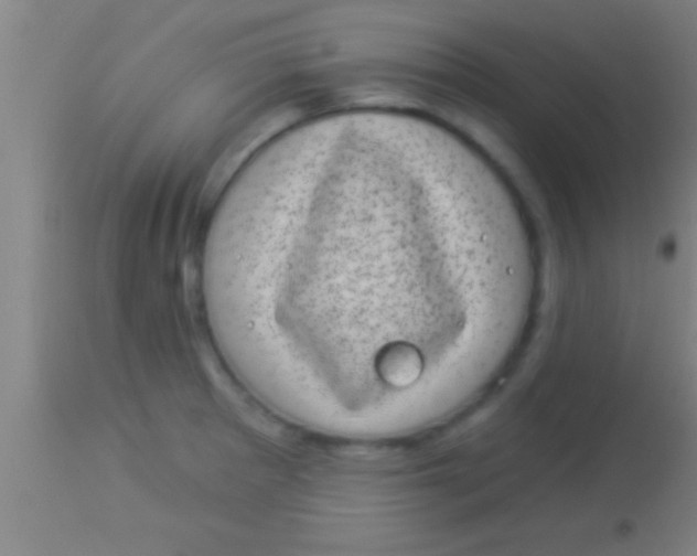 X0000113941281200910161906