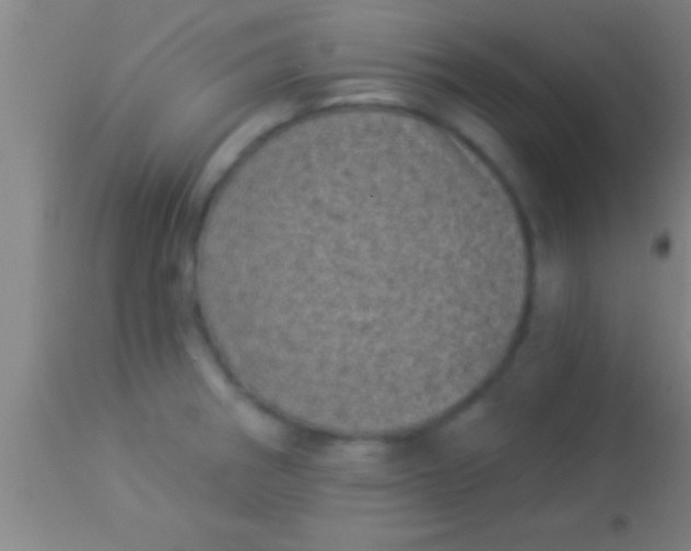 X0000113941282200910161906