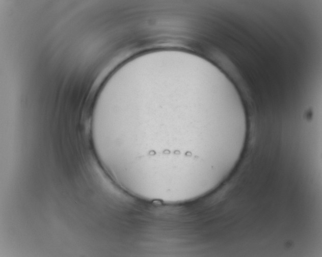 X0000113941284200910161906