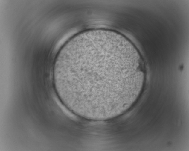 X0000113941285200910161906