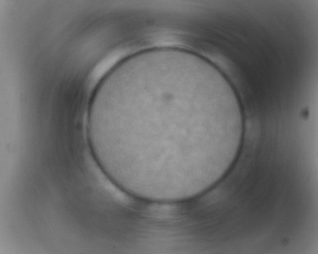 X0000113941286200910161906