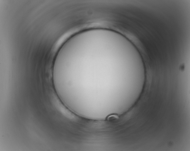 X0000113941288200910161906