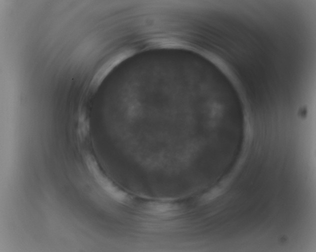 X0000113941289200910161906