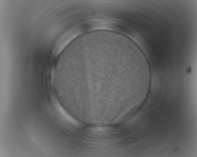 X0000113941290200910161906