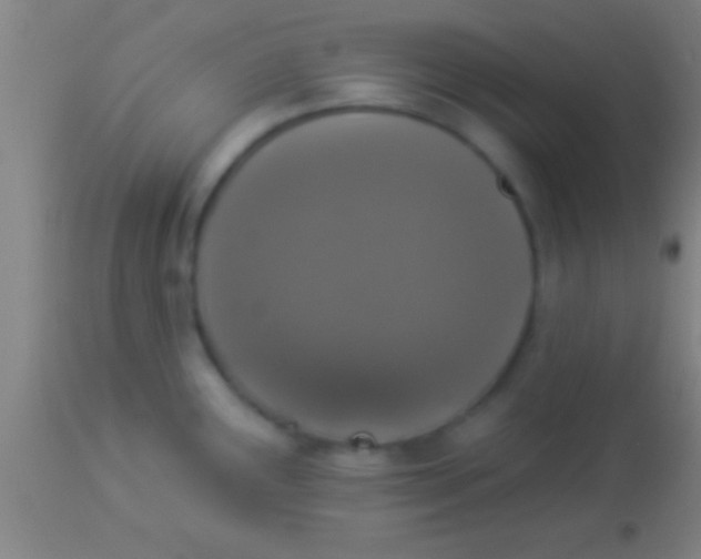 X0000113941291200910161906