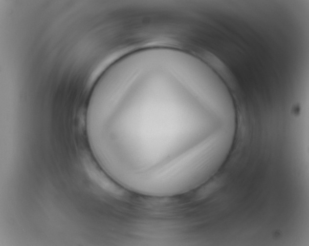 X0000113941292200910161906