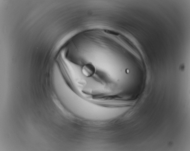 X0000113941293200910161906