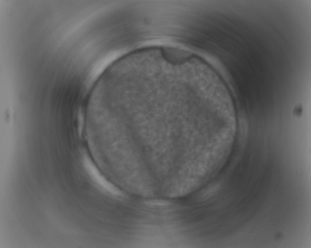 X0000113941295200910161906