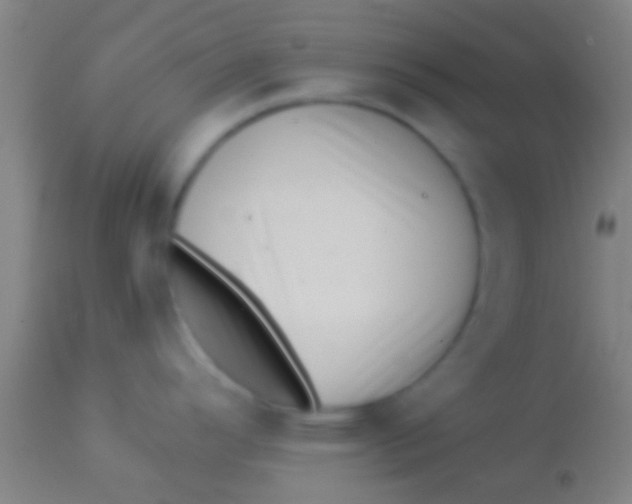 X0000113941296200910161906