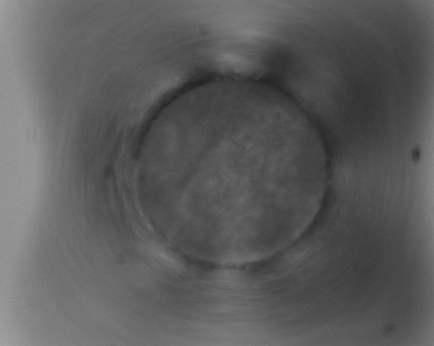 X0000113941297200910161905