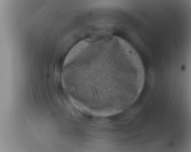 X0000113941298200910161905