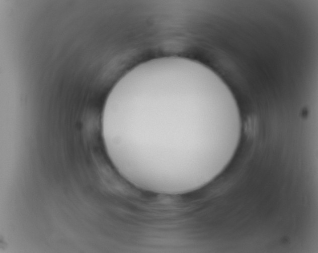 X0000113941299200910161905