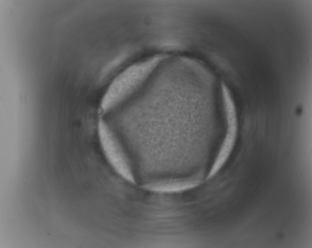 X0000113941301200910161905