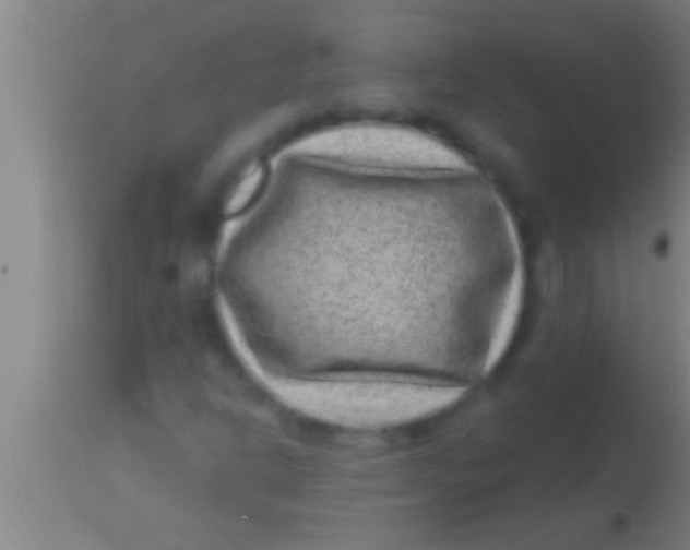 X0000113941302200910161905